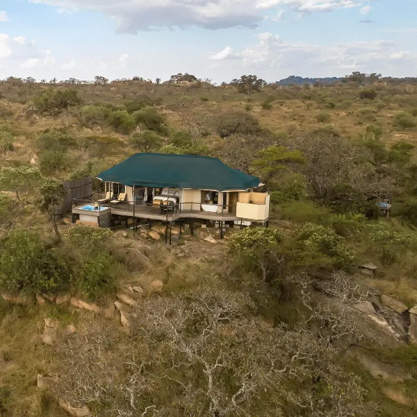 Serengeti Lemala