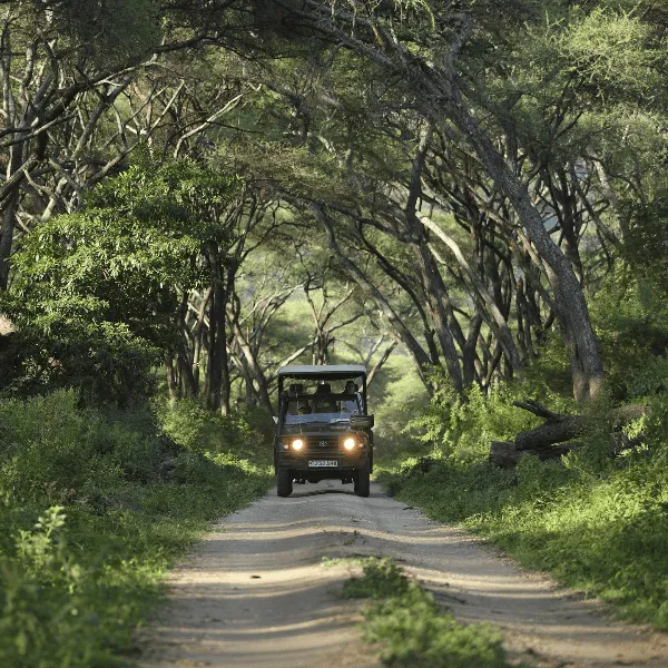 AndBeyond Lake Manyara