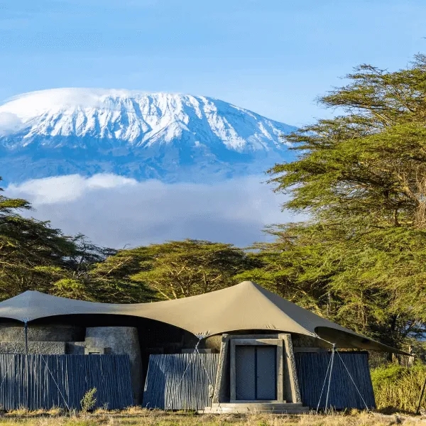Angama Amboseli