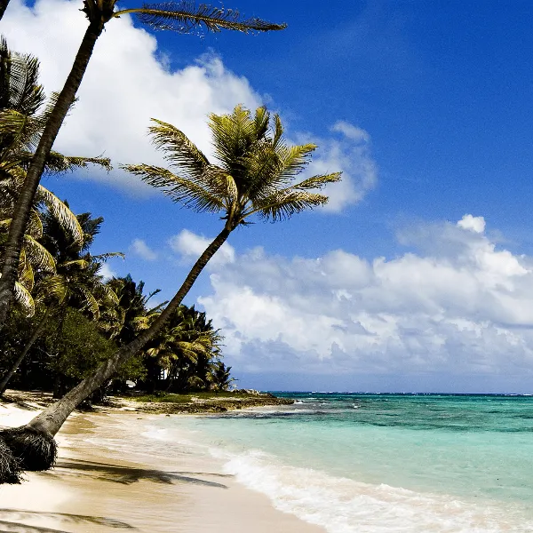 Diani Beach Elewana