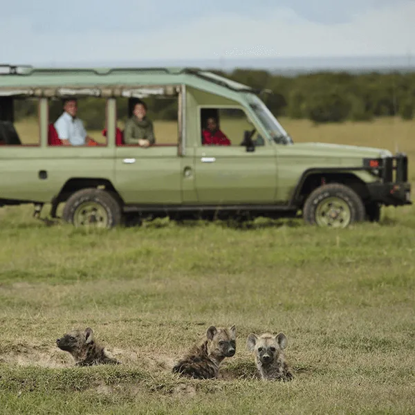 Ol Pejeta Laikipia