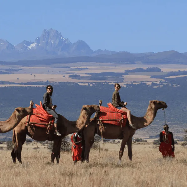 Lewa Laikipia