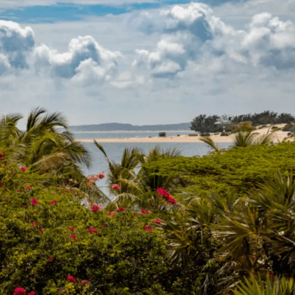 Majis Lamu