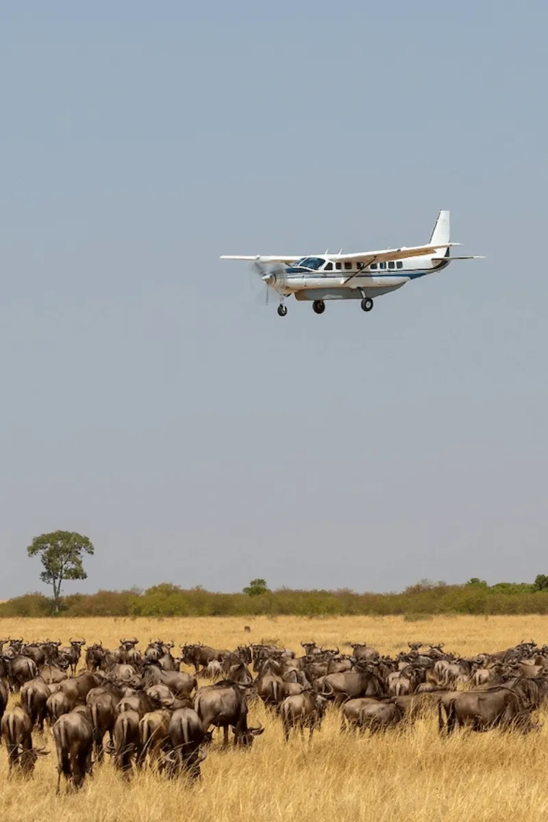 Fly In Safari Serengeti