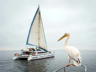 marine-safari-namibia