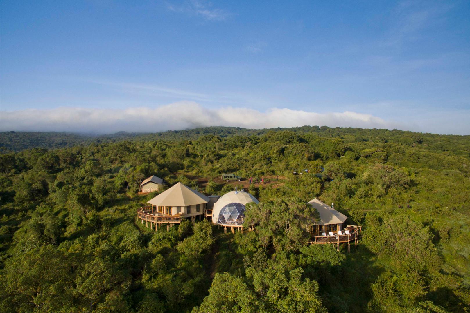 The highlands Ngorongoro