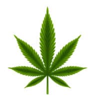 Agency Checklists, MA Insurance News, Mass. Insurance News, MA Marijuana Insurance Regulations, Insurance requirements for Marijuana in Mass.