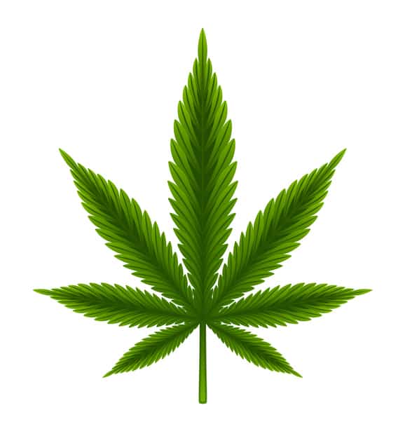 Agency Checklists, MA Insurance News, Mass. Insurance News, MA Marijuana Insurance Regulations, Insurance requirements for Marijuana in Mass.