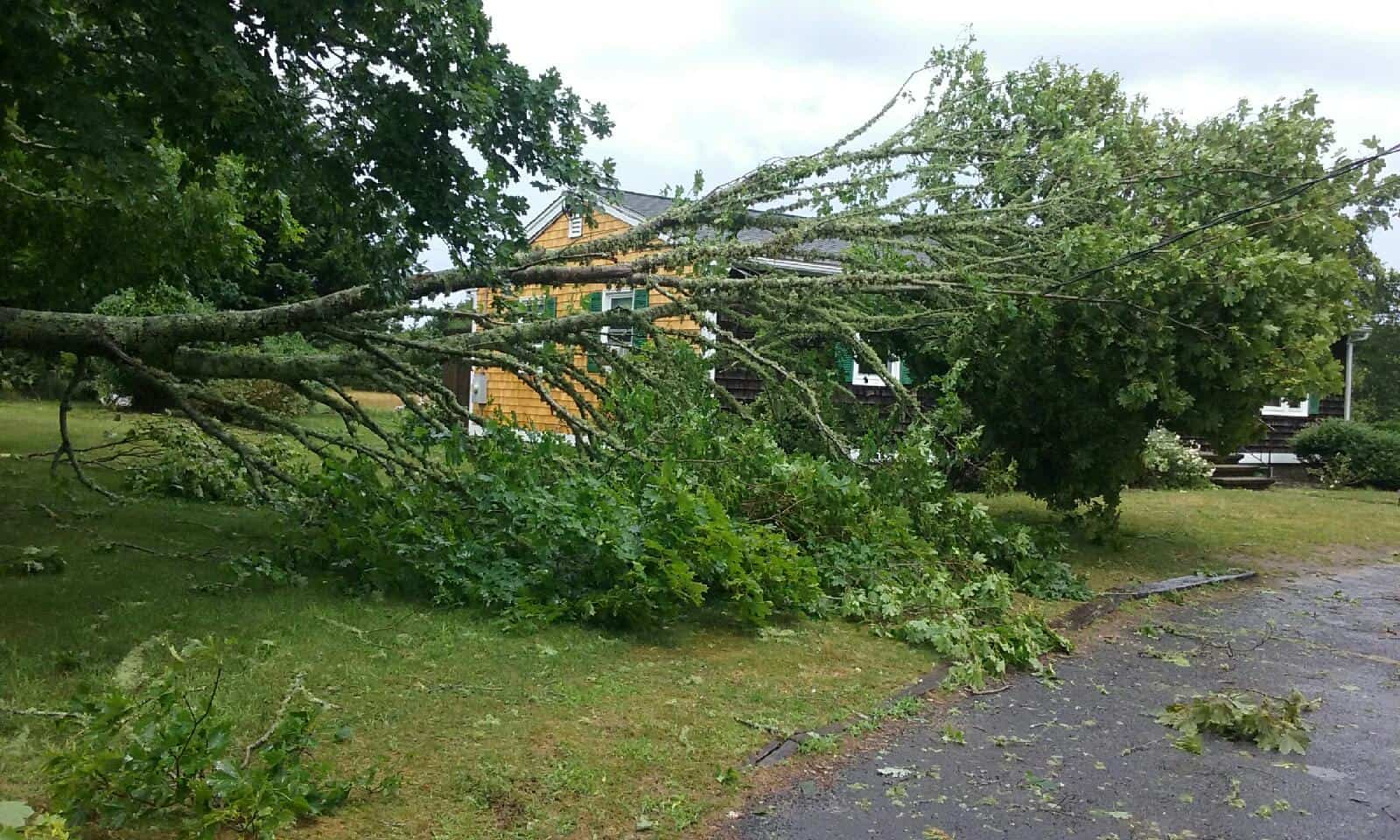 Insurance coverage regarding Cape Cod Tornado