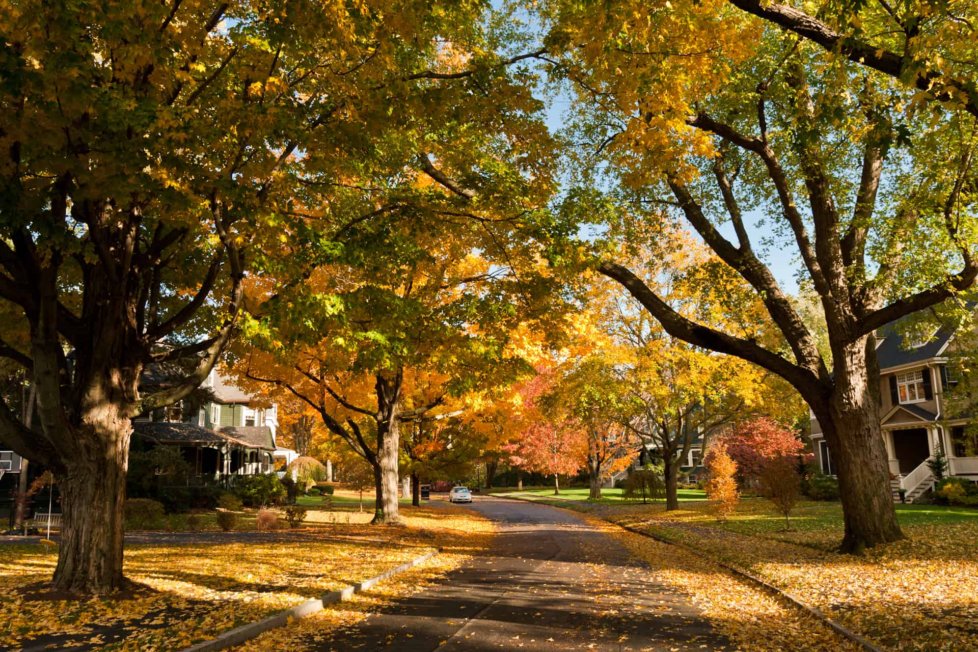 Massachusetts Home Prices