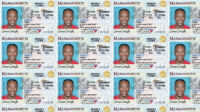Five Indicted in Multi-State Fraud Scheme To Obtain Driver's Licenses For Illegal Aliens