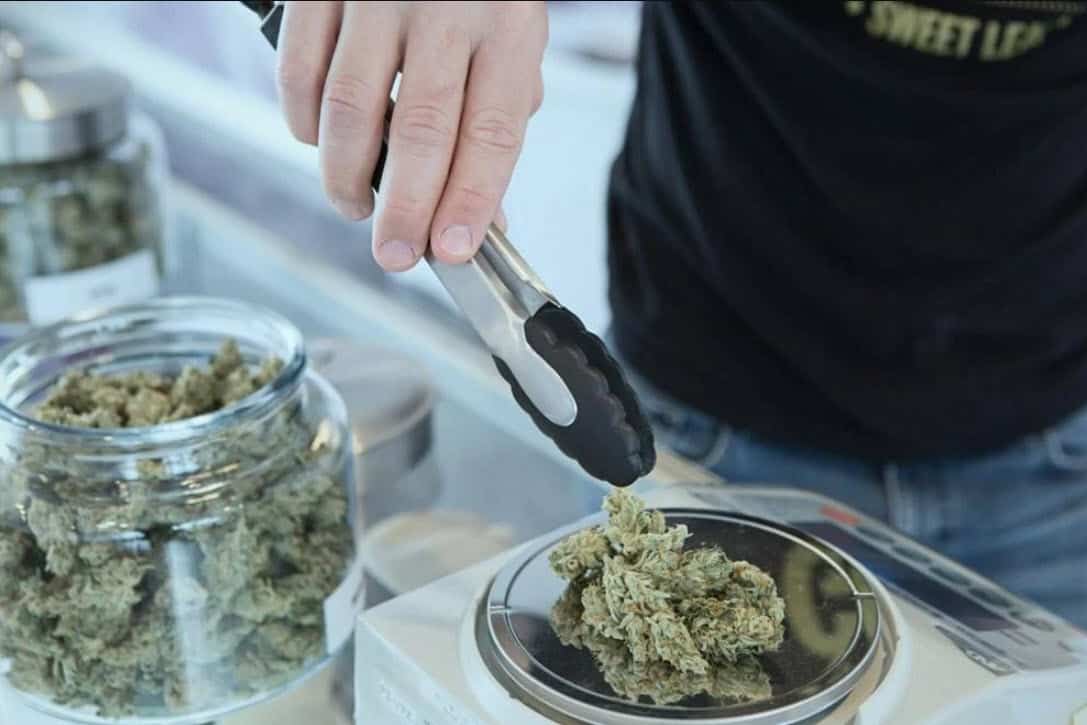 Massachusetts cannabis news