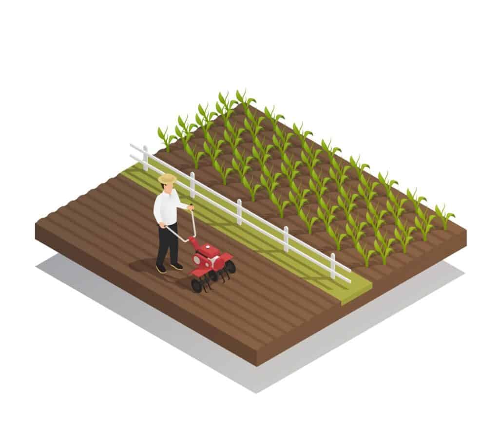 The Pros and Cons of Crop Rotation