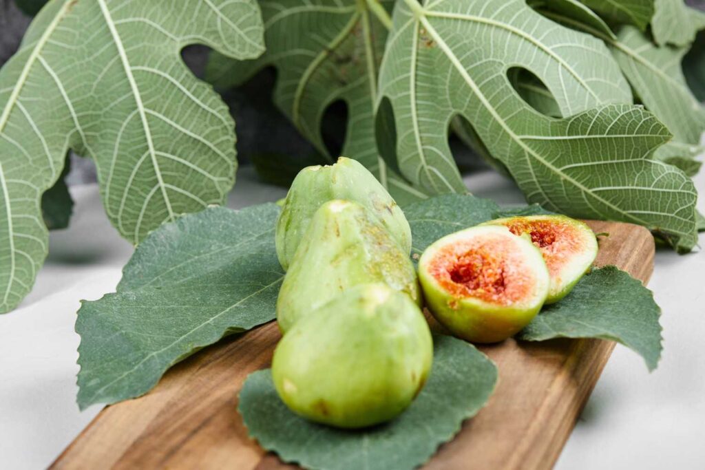 Fig Cultivation in India