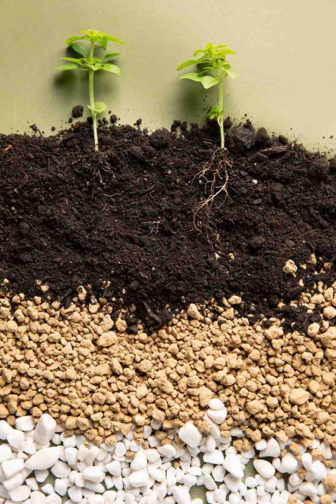 Why Farmers Add Manure & Fertilizers: The Real Reason