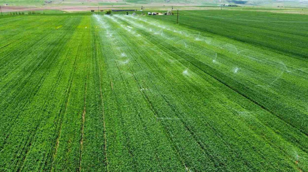 Sprinkler System