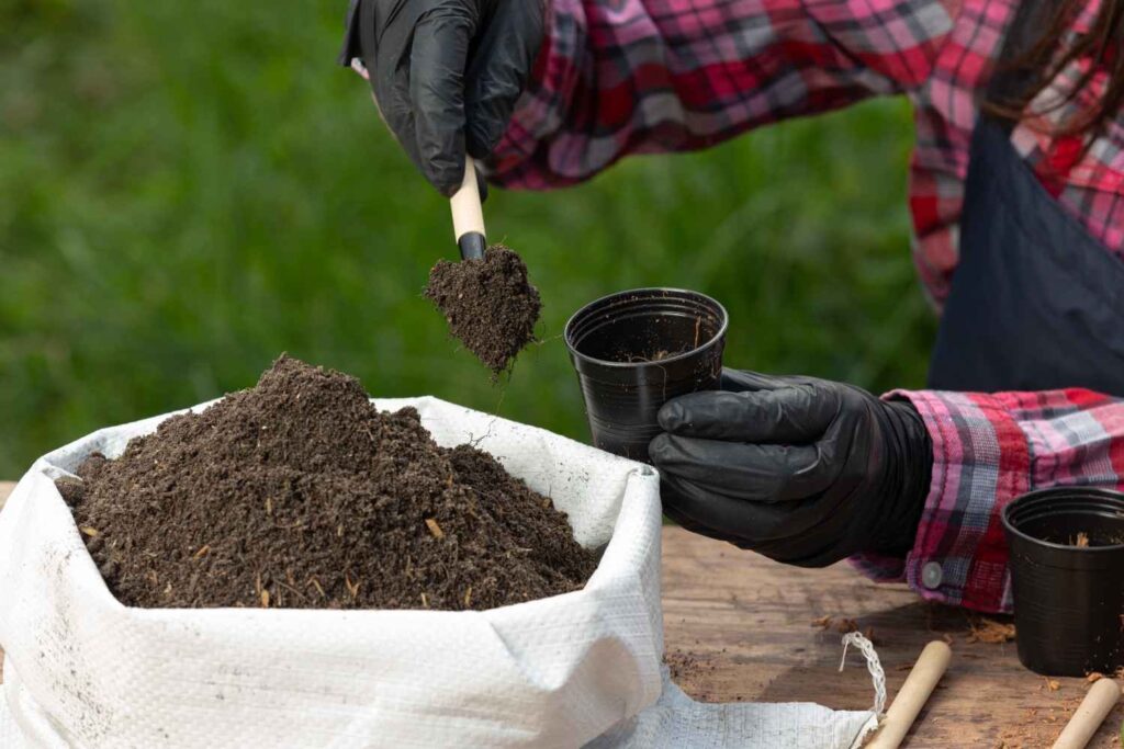 Potting mix