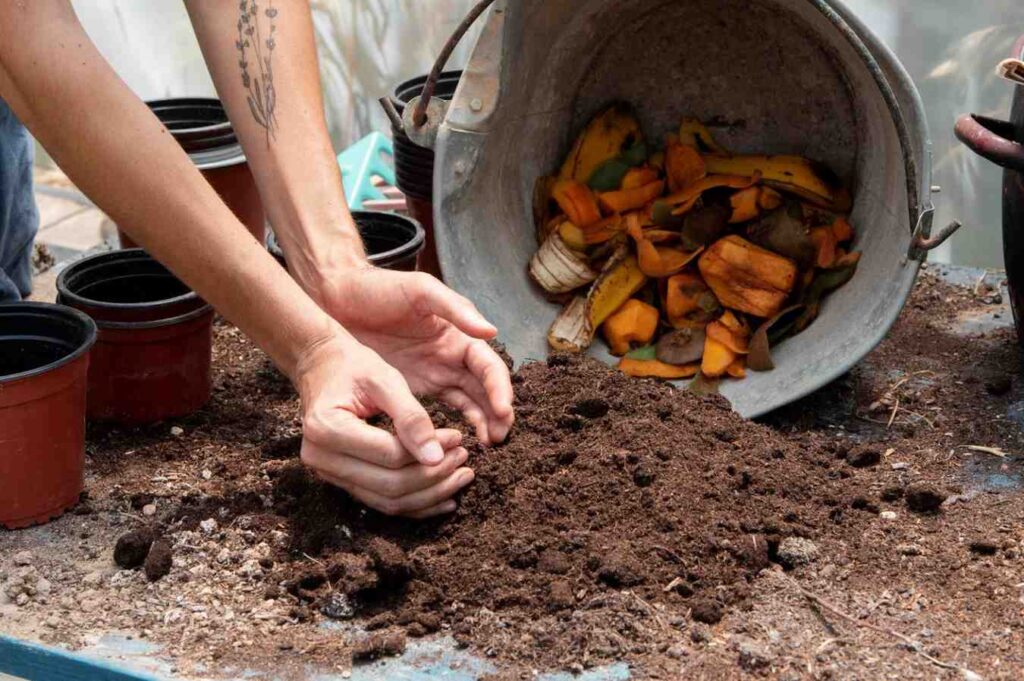 How Composting Can Revolutionize Your Garden’s Health and Productivity
