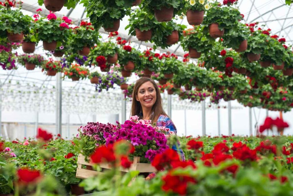 Terrace Gardening for Beginners 