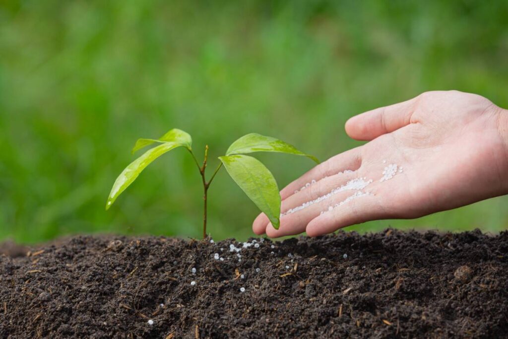 N-P-K Ratio Explained: What Fertilizer Numbers Really Mean