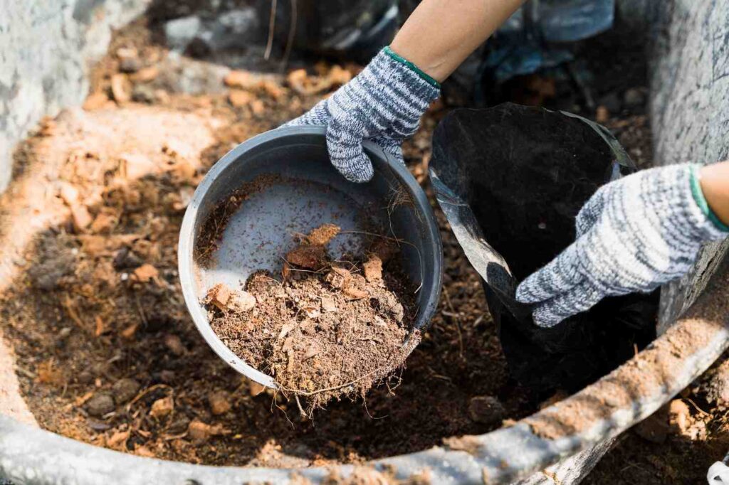  Best Organic Fertilizers for Your Vegetable Garden: Boost Growth & Harvest