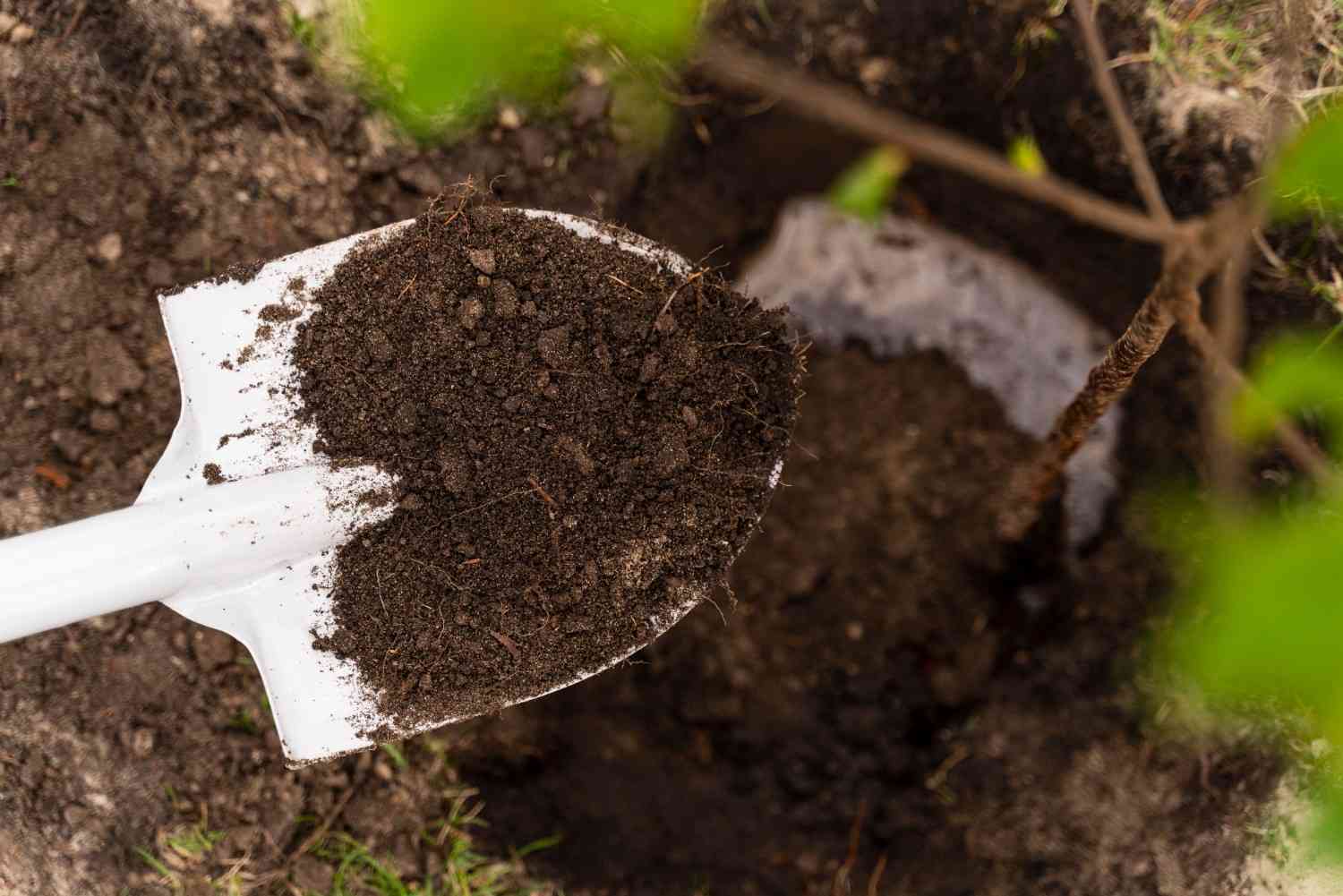 Organic Fertilizers