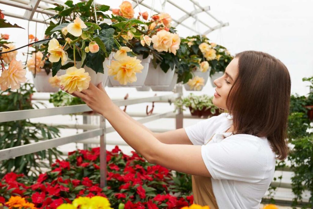 Terrace Gardening for Beginners 