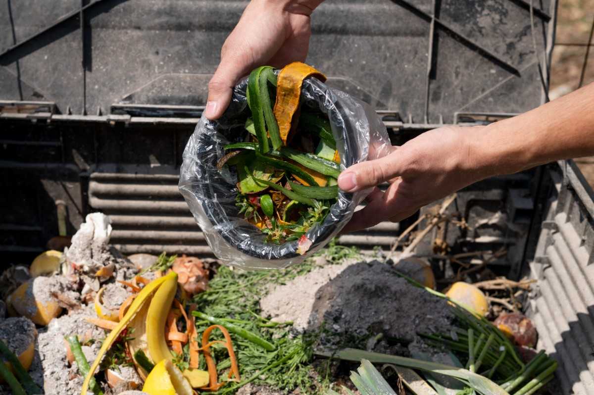 Compost Livestock Manure: Turn Barn Waste into Garden Gold