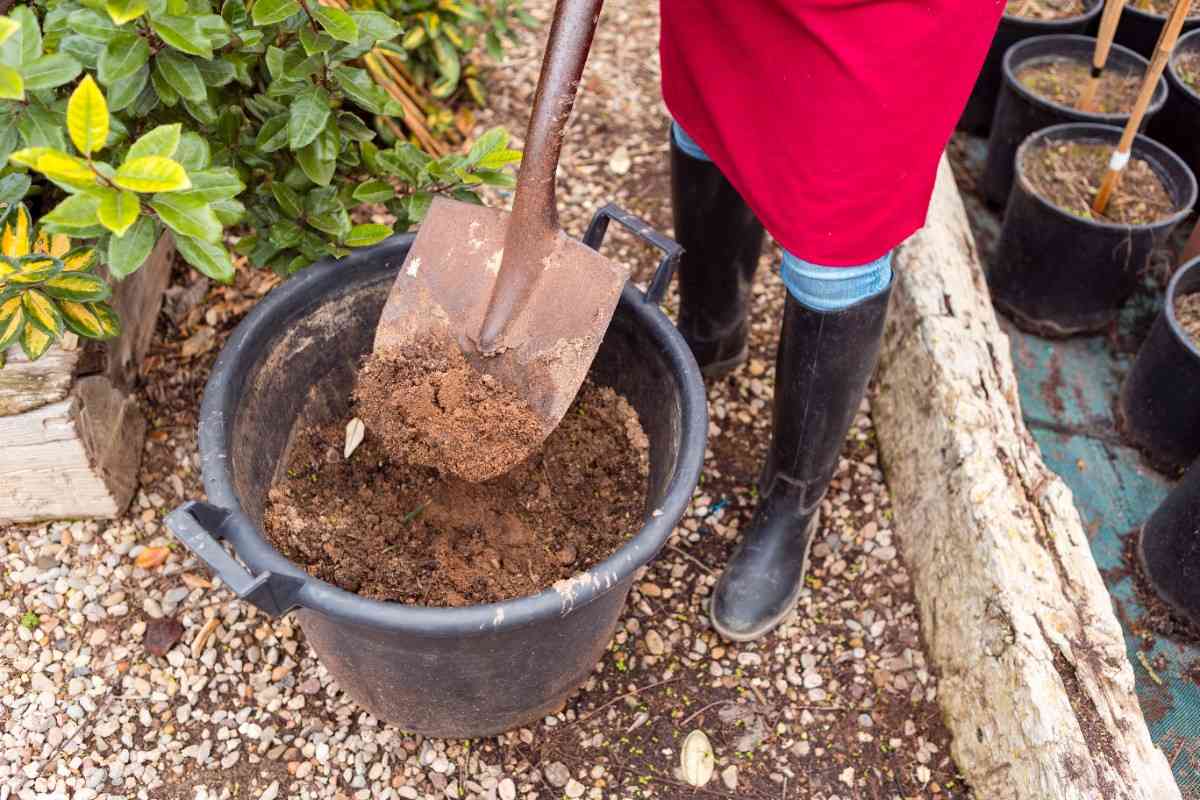 How to Make a Low-Cost Worm Bin at Home