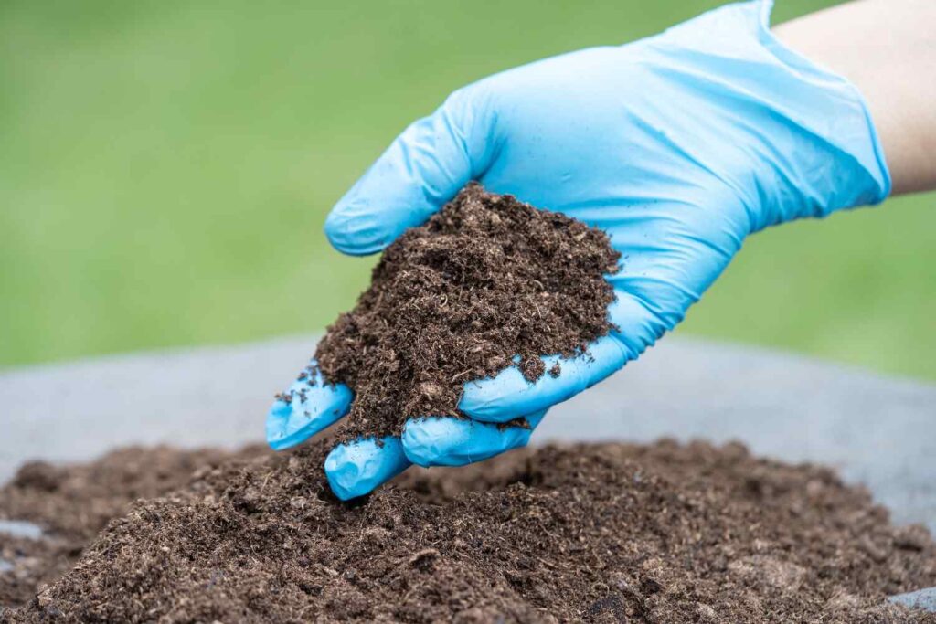 A Complete Guide to Fertilizers: Choose the Best One Easily
