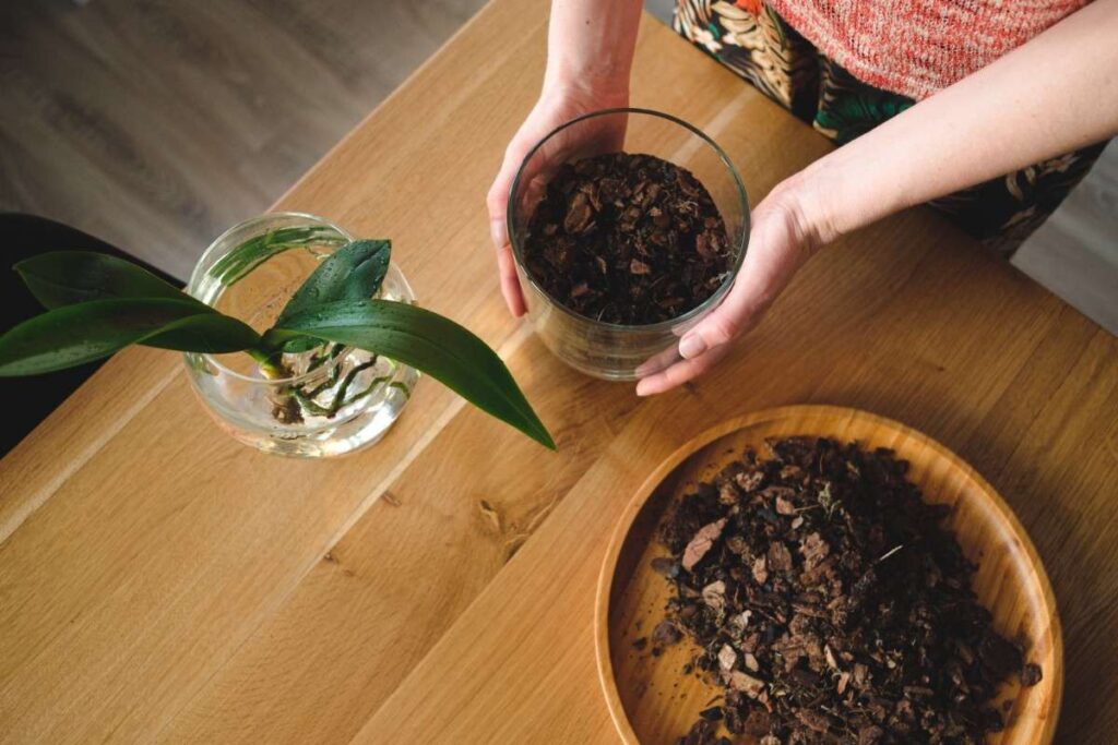 Compost Tea Explained: How to Brew It Safely, Use It Correctly, and Avoid Costly Mistakes