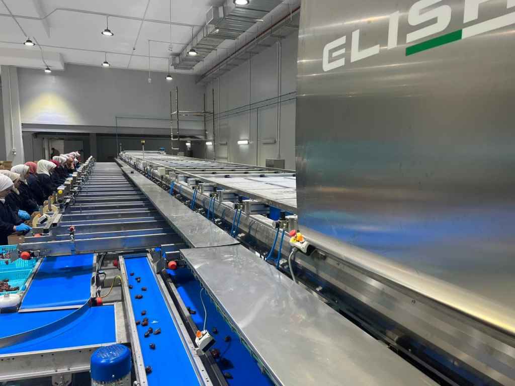 packaging services 