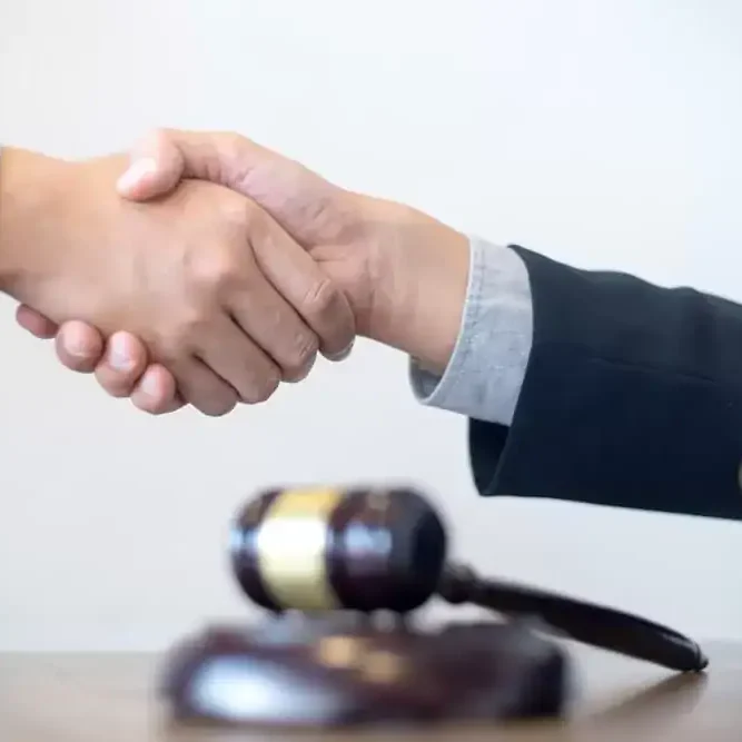 Criminal Defense Attorney