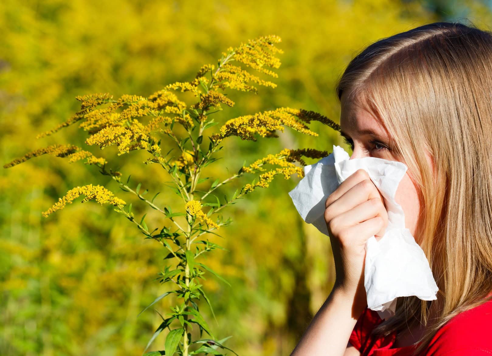 How to Detect and Treat Fall Allergies