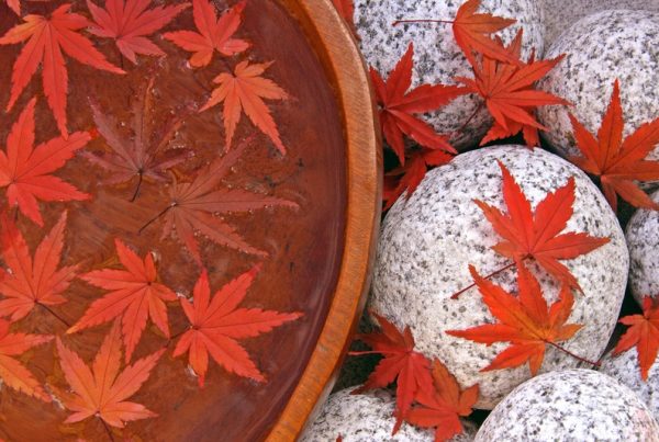 Health Tips for Fall Wellness