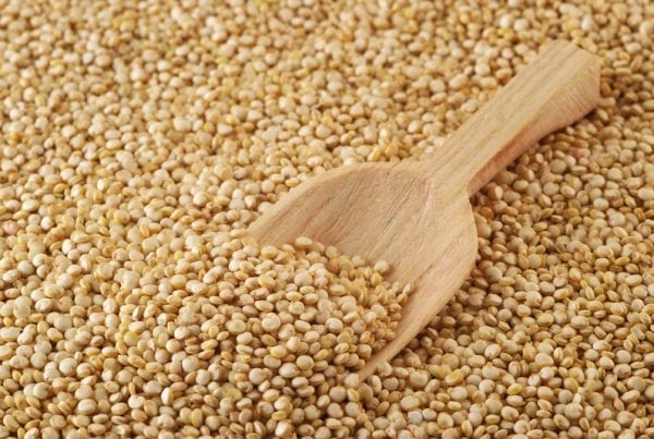 Why Does My Quinoa Taste Funny?