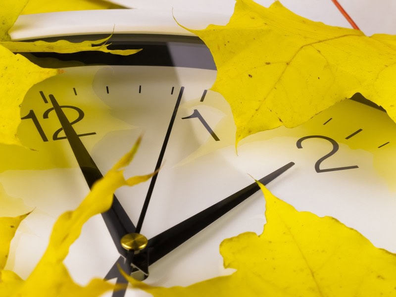 Holiday Hours for Thanksgiving and December