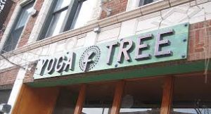 Take A Class At Yoga Tree