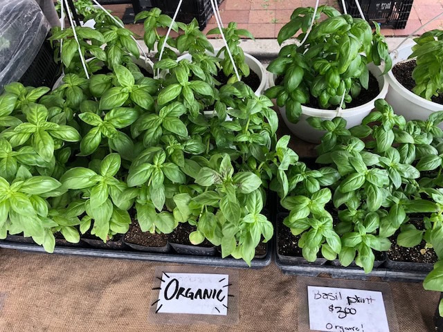 Andersonville Farmers Market