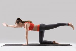 Bird Dog Exercise