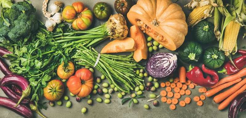 Fall Health Checklist | Building Balance and Healthy Habits this Season