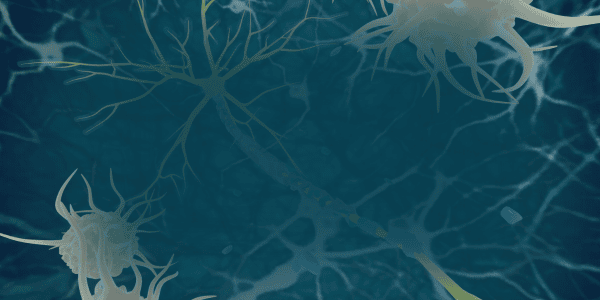 Autoimmunity: A Functional Medicine Perspective | WEBINAR