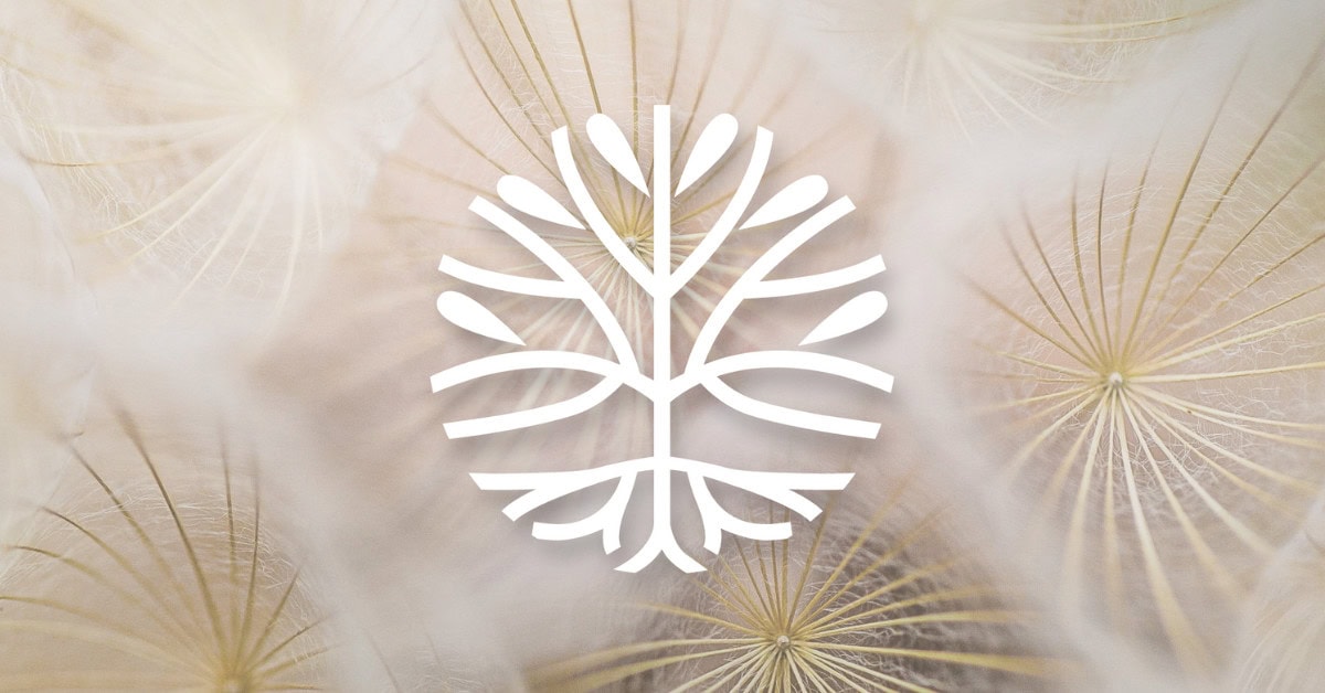 Why Acupuncture and Chiropractic Care Work Better Together