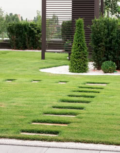 Elegant outdoor stepping stones in a lush green lawn with decorative shrubs and privacy screen.