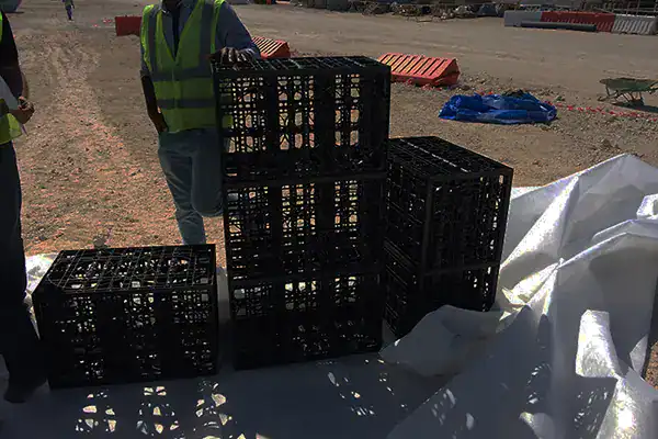 عمال يجمعون وحدات معيارية لمياه الأمطار لإنشاء نظام احتجاز مؤقت تحت الأرض في مشروع سكني