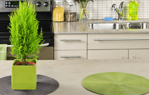 Countertop, Eco-Friendly Countertop