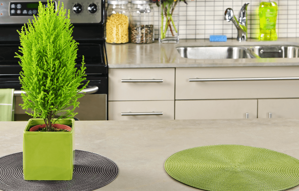Countertop, Eco-Friendly Countertop