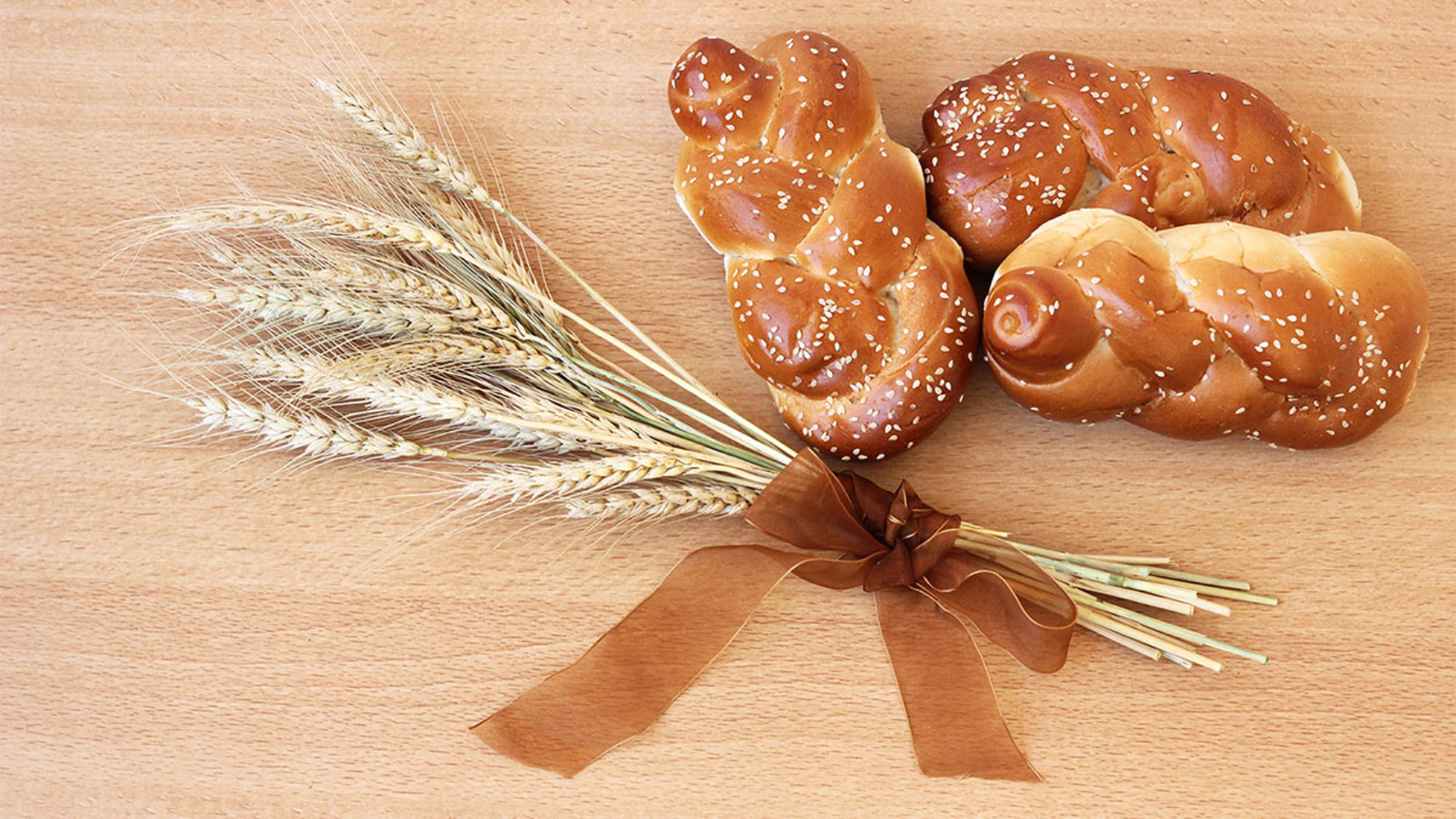 aviv-blog-header