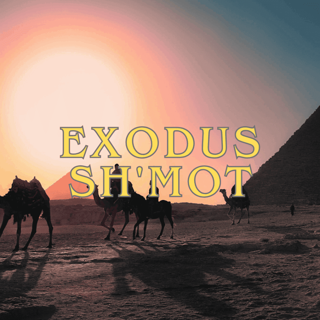 Book of Exodus - Sh’mot – Israel’s deliverance from Egypt and covenant at Sinai.