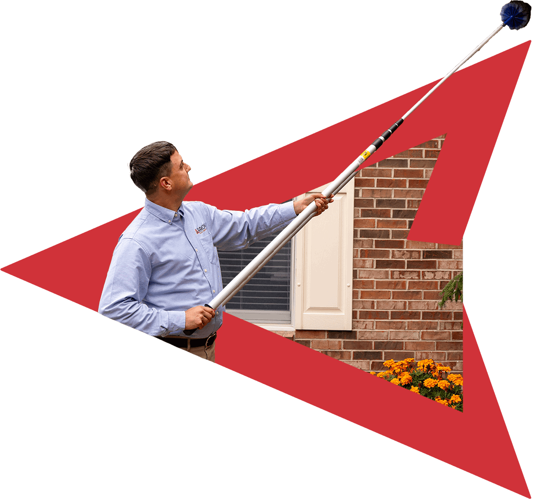 New Jersey Pest Control Solutions